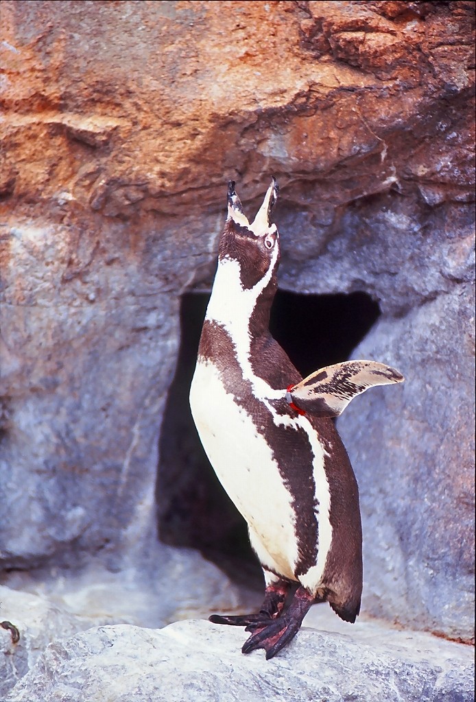 消費税upは嫌だ～～