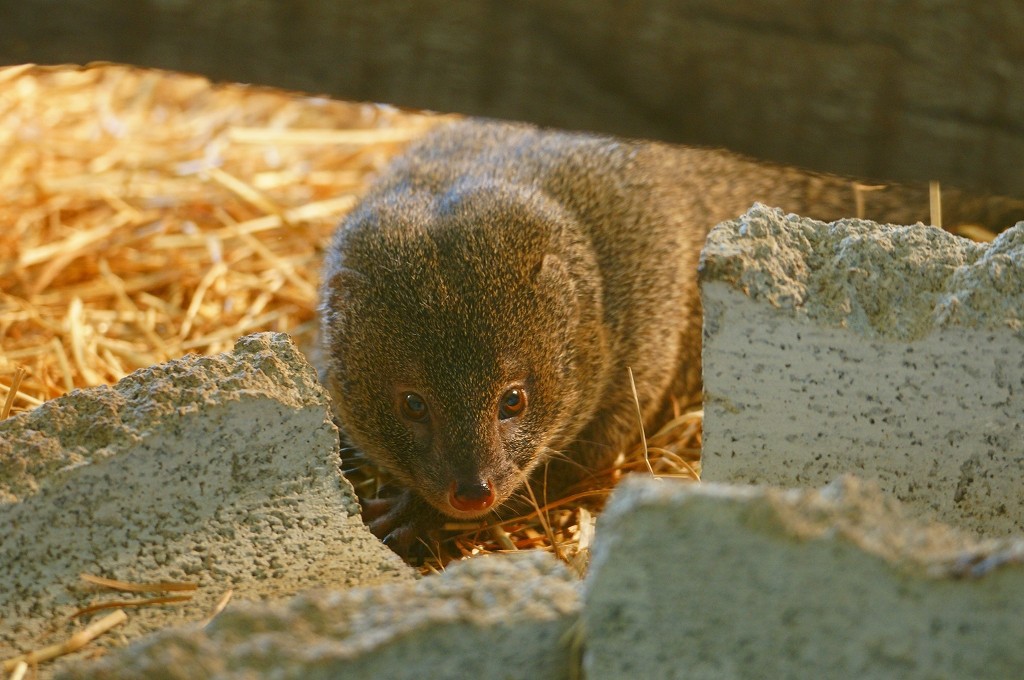 10333760162900042500_huvtkc2ila