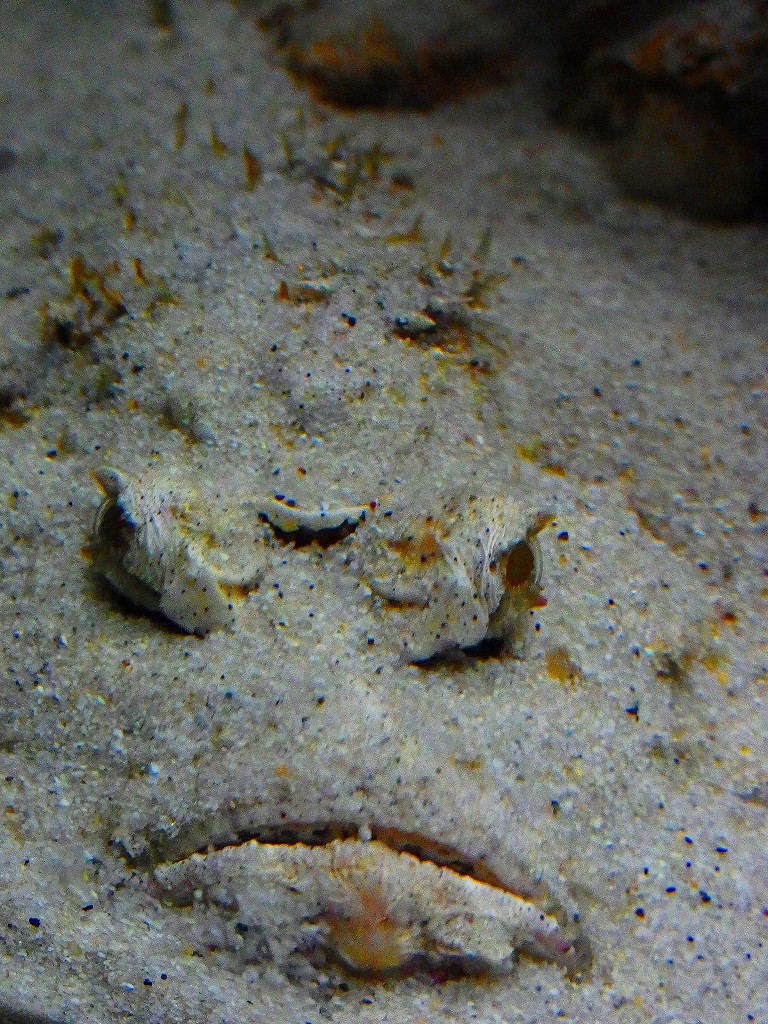 10131264413800042500_cx6xyr36la