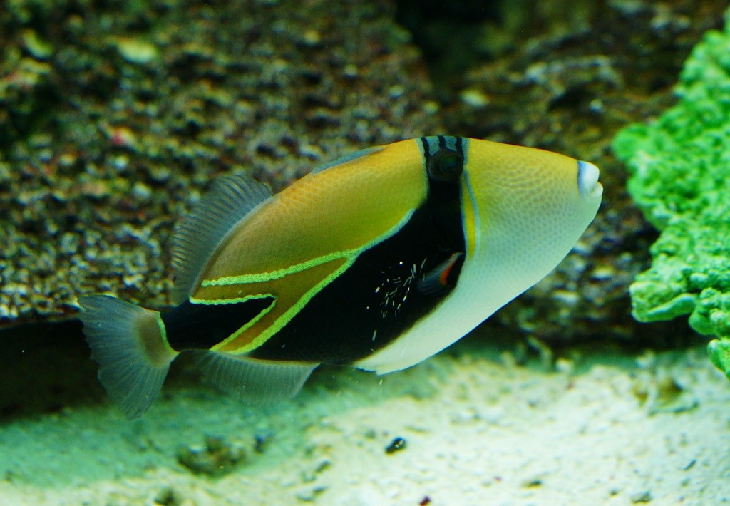 10326469106100042500_ar1jniw6la