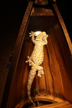 パントマイム　その3