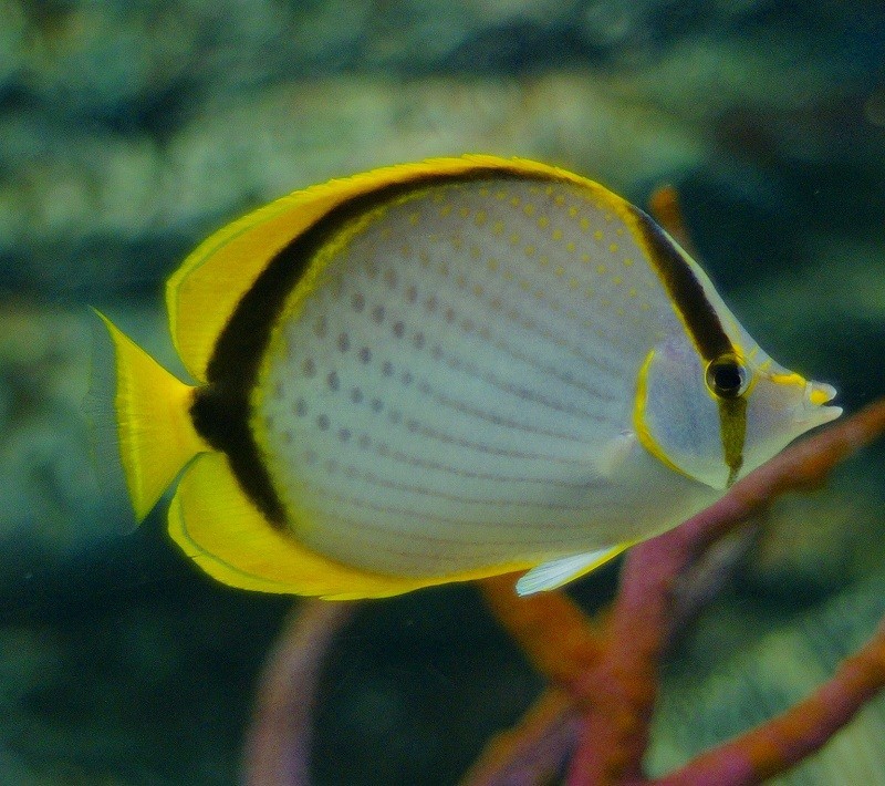 10126102523900042500_g3euaylqla