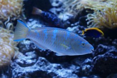 10335372261500042500_2fcdpqyjla