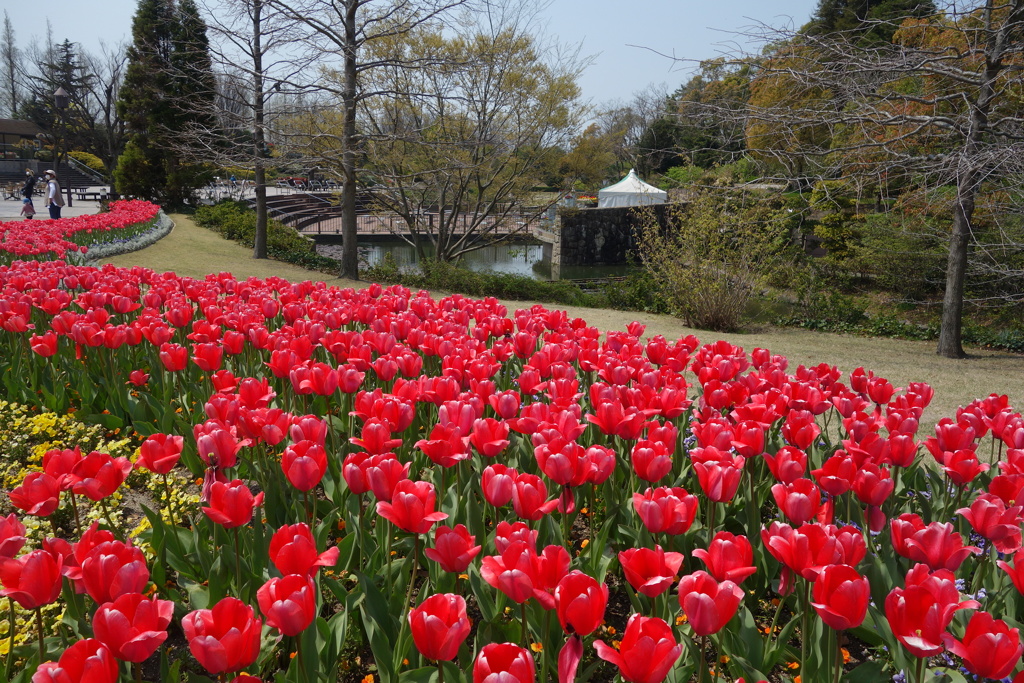 三河の春