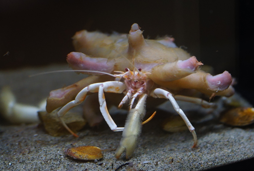 お控えなすって！！　その4