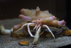 お控えなすって！！　その4