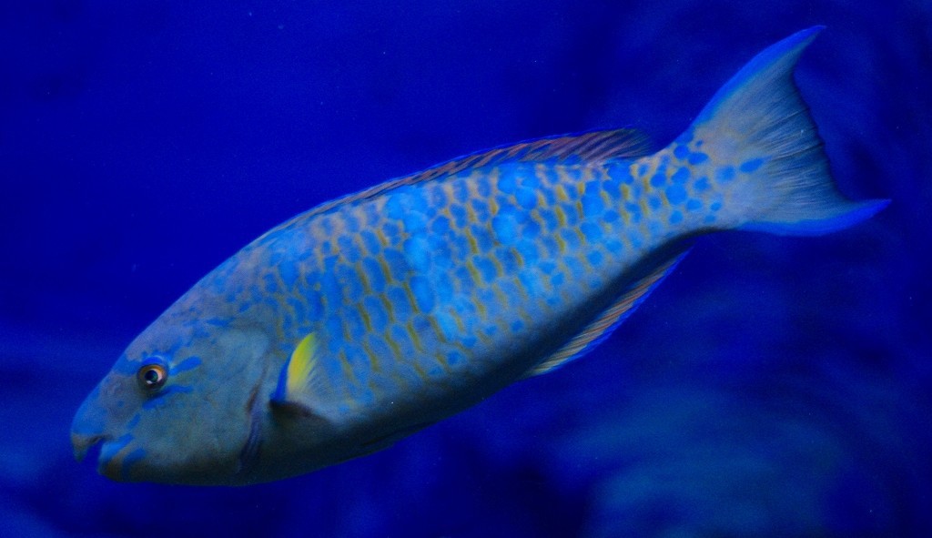 10326192437500042500_r9qb7ai8la