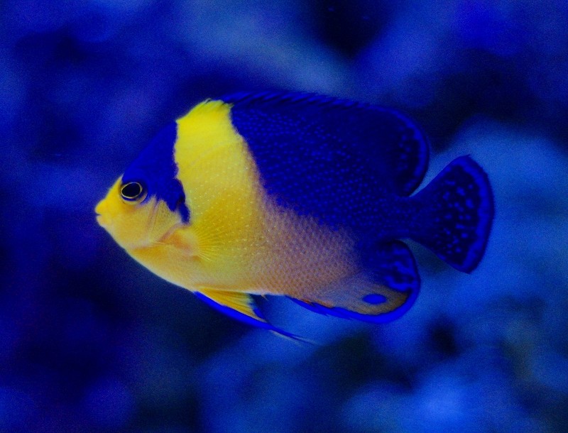 10128542817900042500_uxxkyy59la