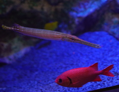 お出掛けですか！？　その8