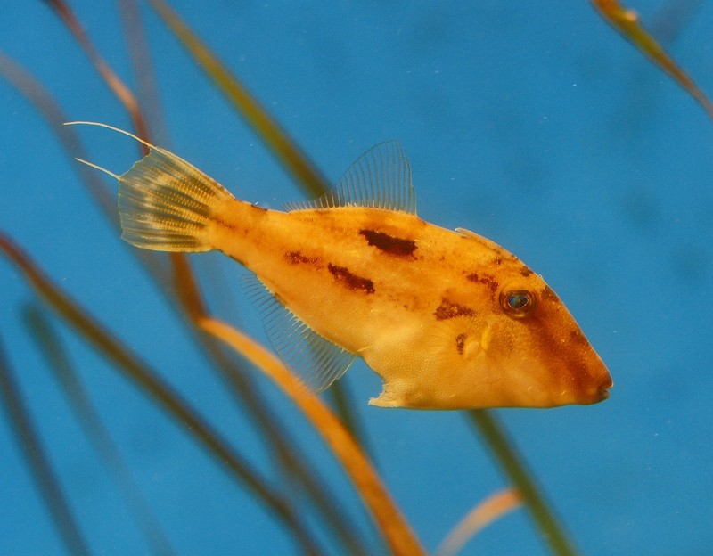 10228515879500042500_mbk7fibyla