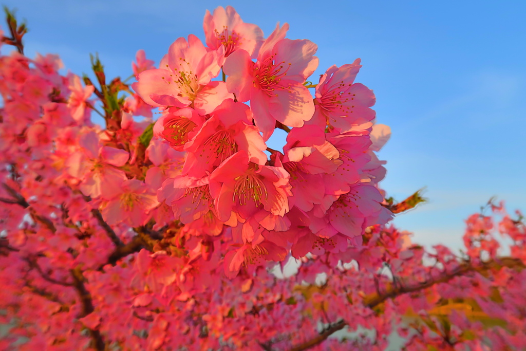 君は燃えているか　その93