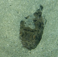 10336102246300042500_2mwwfmh8la