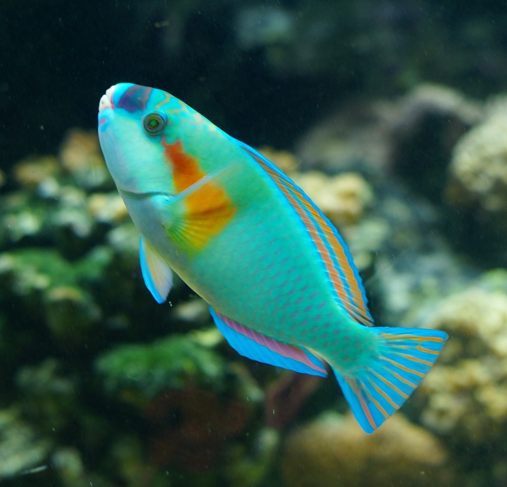 10330261976800042500_mu2iacflla