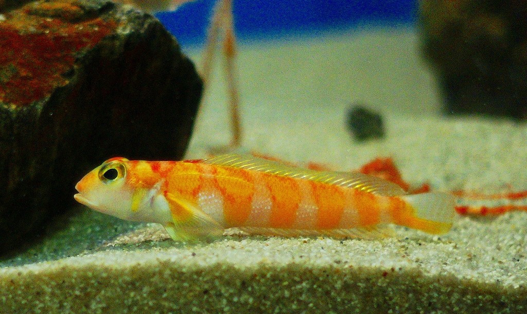 10226814424200042500_7f0da09hla