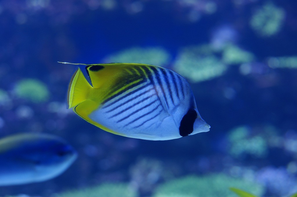 10237493700400042500_31070l98la