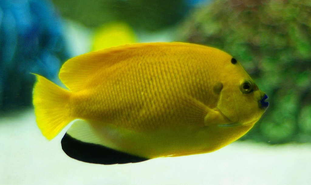 10429877203200042500_b91tg850la