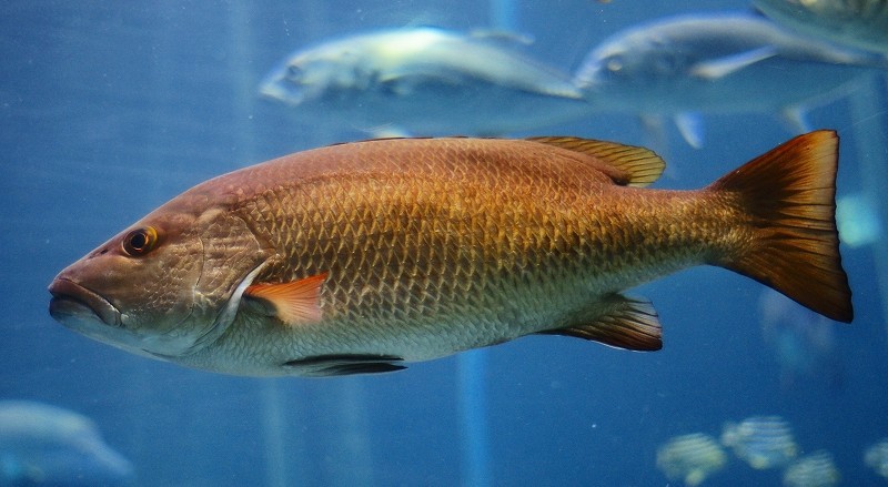 10227917019000042500_oixebd3dla