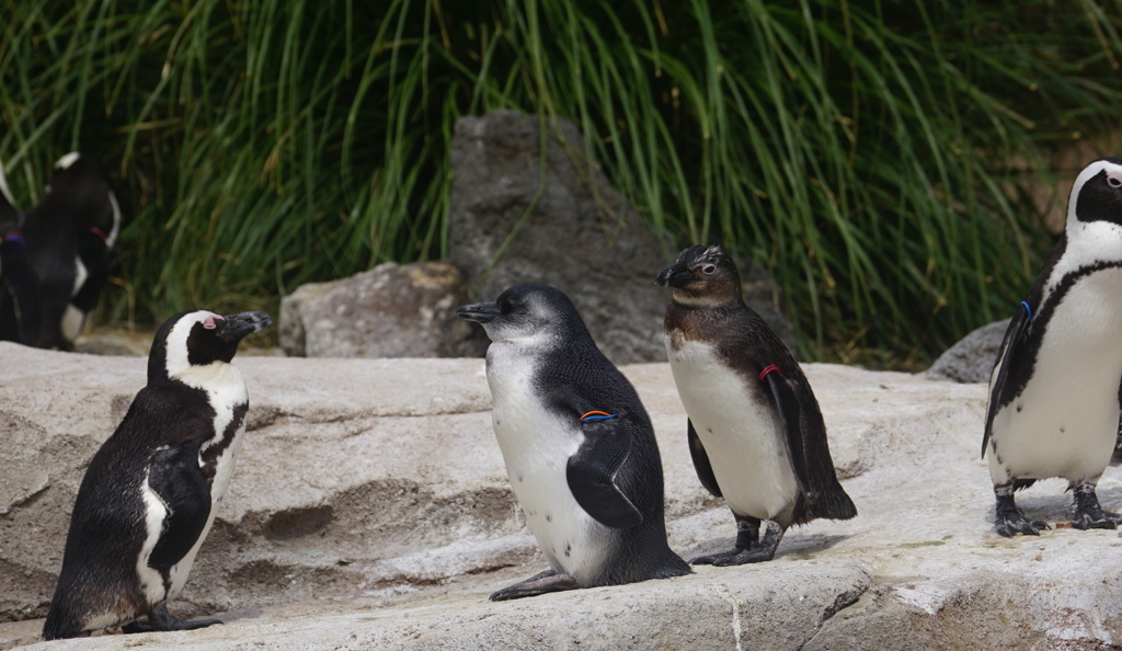 大きくなったわねぇ～