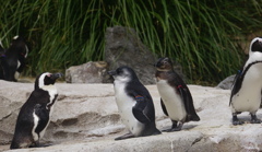 大きくなったわねぇ～