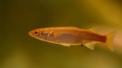 10332610328400042500_mihad3gzla