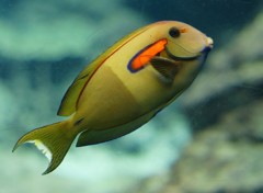 10425775804000042500_lpyd3167la