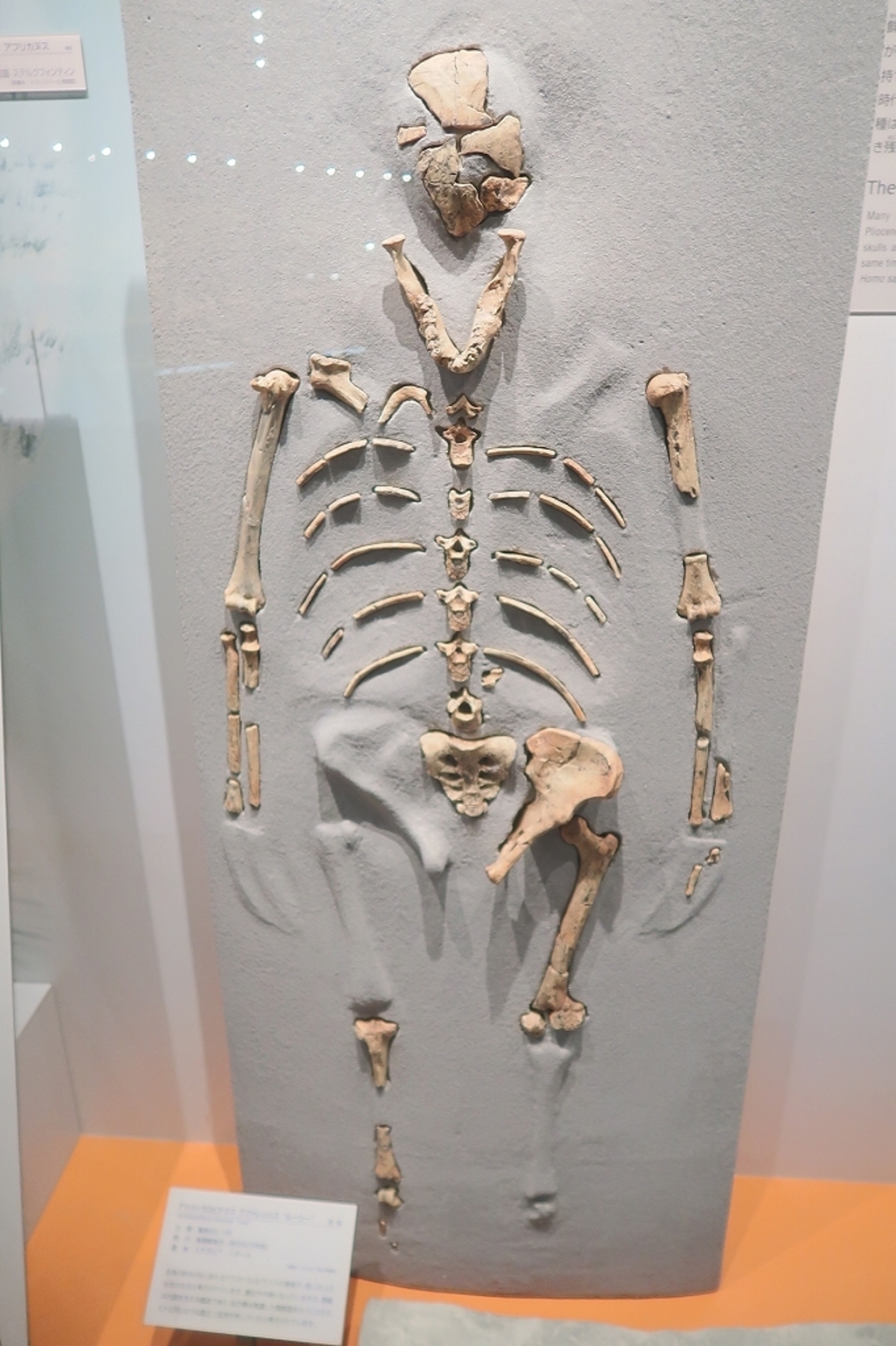 ご先祖様　その2