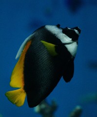 10126431726300042500_hxnwji0zla