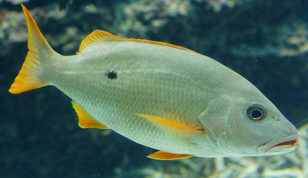 10325829466000042500_j174kw6rla