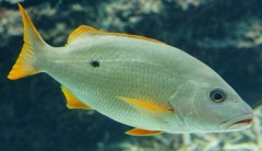 10325829466000042500_j174kw6rla