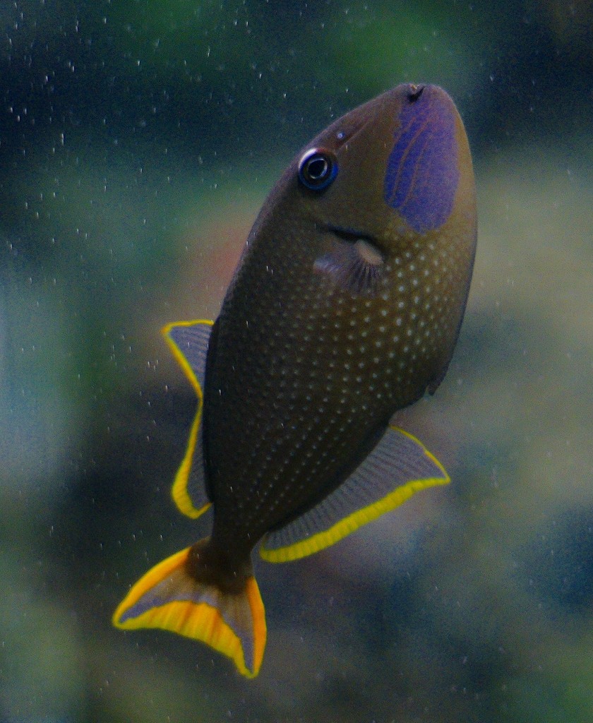 10126996004400042500_phdpwdd7la