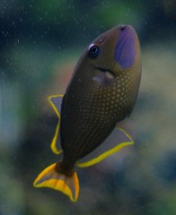 10126996004400042500_phdpwdd7la