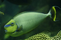 10234741721500042500_rjmbym7jla