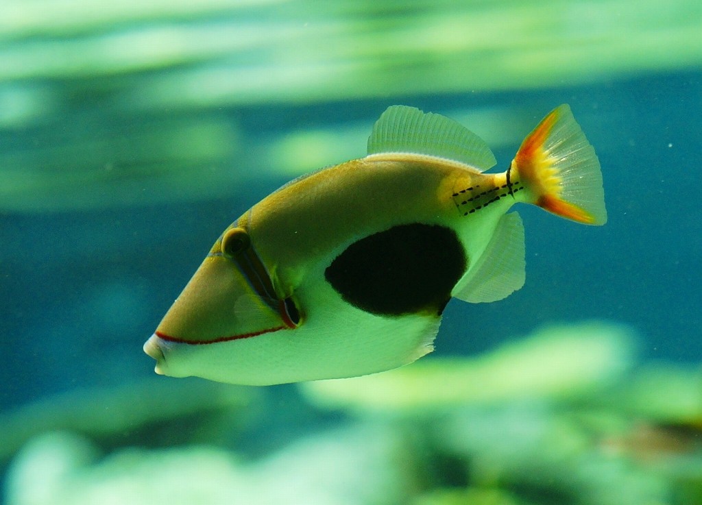 10226469106000042500_6waorevela