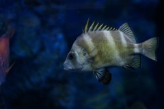 10131661291200042500_mdw0ys9wla