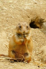 10228098689800042500_6io096kkla