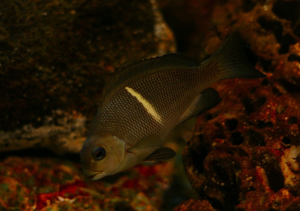 10233631483700042500_ag0c5kthla