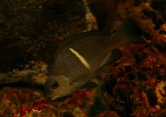 10233631483700042500_ag0c5kthla