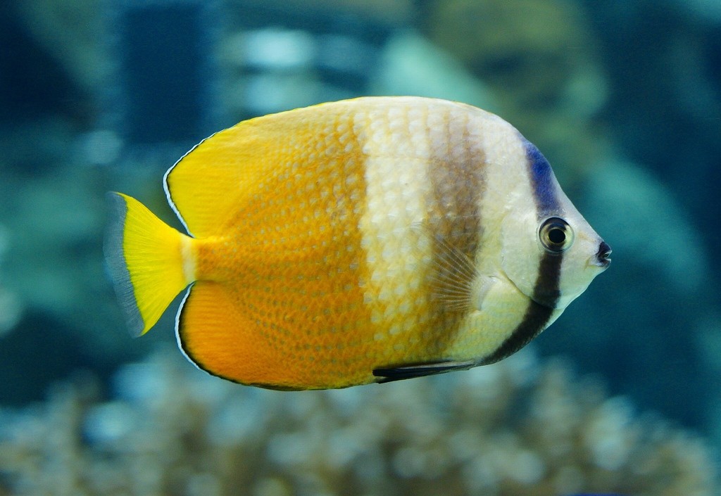 10525775804200042500_ceyifc5vla