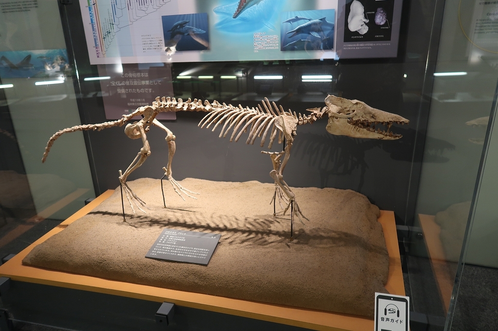 信じられない・・・