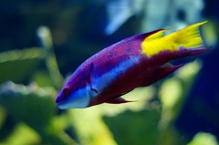 10233501806000042500_mlzu7xs7la