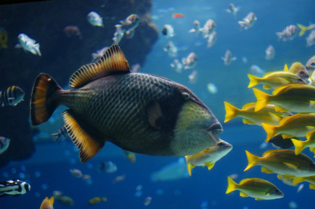 10333251168900042500_kxgxgtvzla