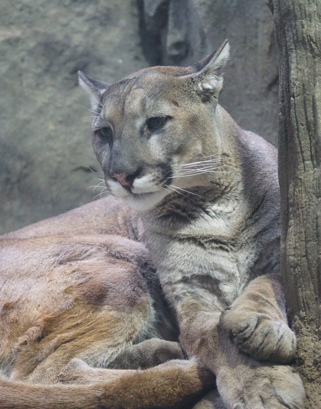 向こうが騒がしいようだな　その3