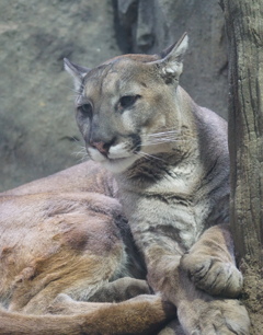 向こうが騒がしいようだな　その3