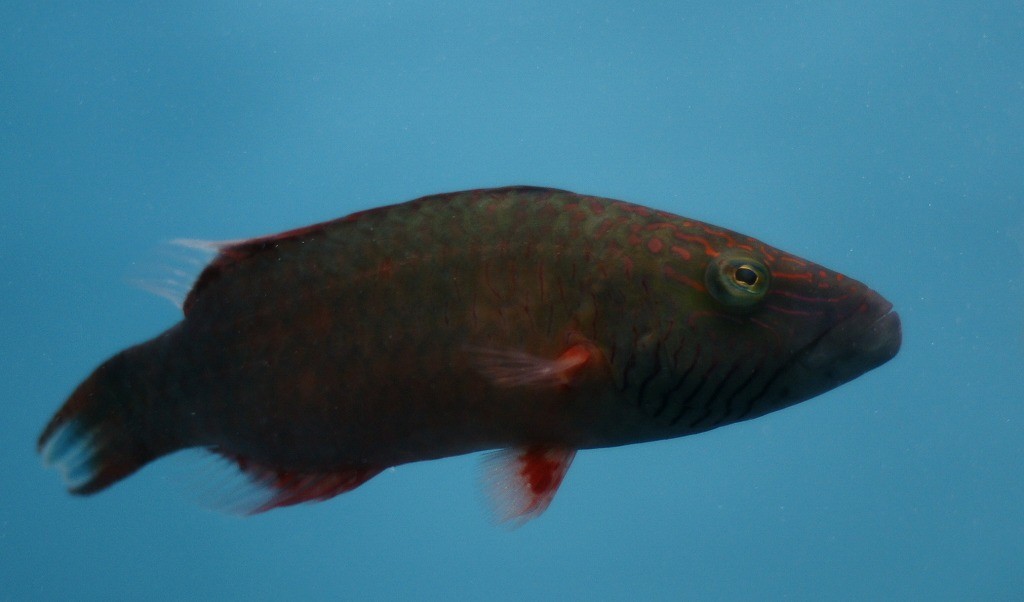 10234793564100042500_onc7sh7dla