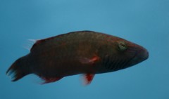 10234793564100042500_onc7sh7dla