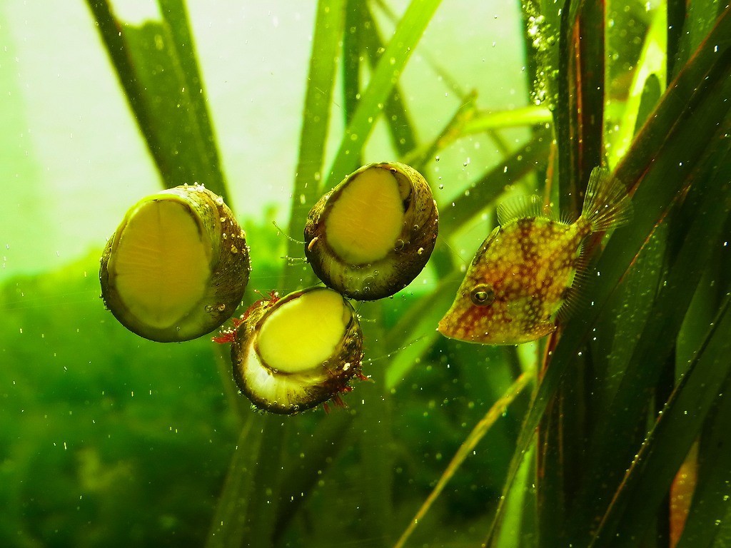 10132603490500042500_evywe2gcla