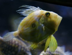 10231687531800042500_xtyophywla