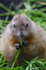 10133932910400042500_evc9bjhrla