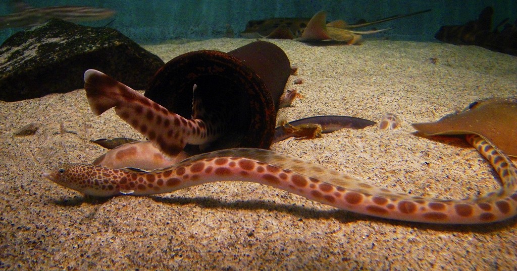 10326866393800042500_tyjyle72la