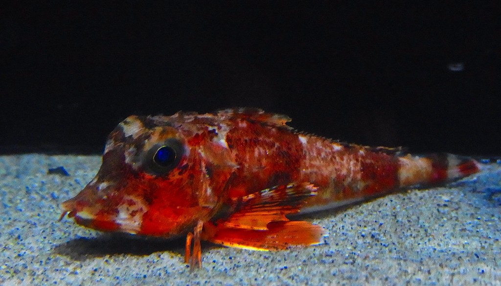 10130478009400042500_tcvpdzo0la